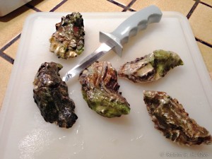 raw miyagi oysters
