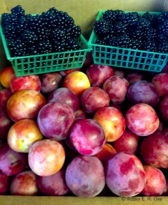 ripe plums and blackberries