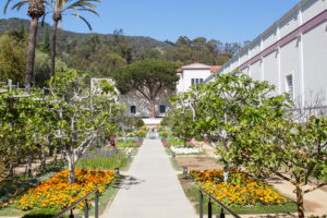 Getty Villa, Malibu Culinary Garden © Robin E. H. Ove All rights reserved
